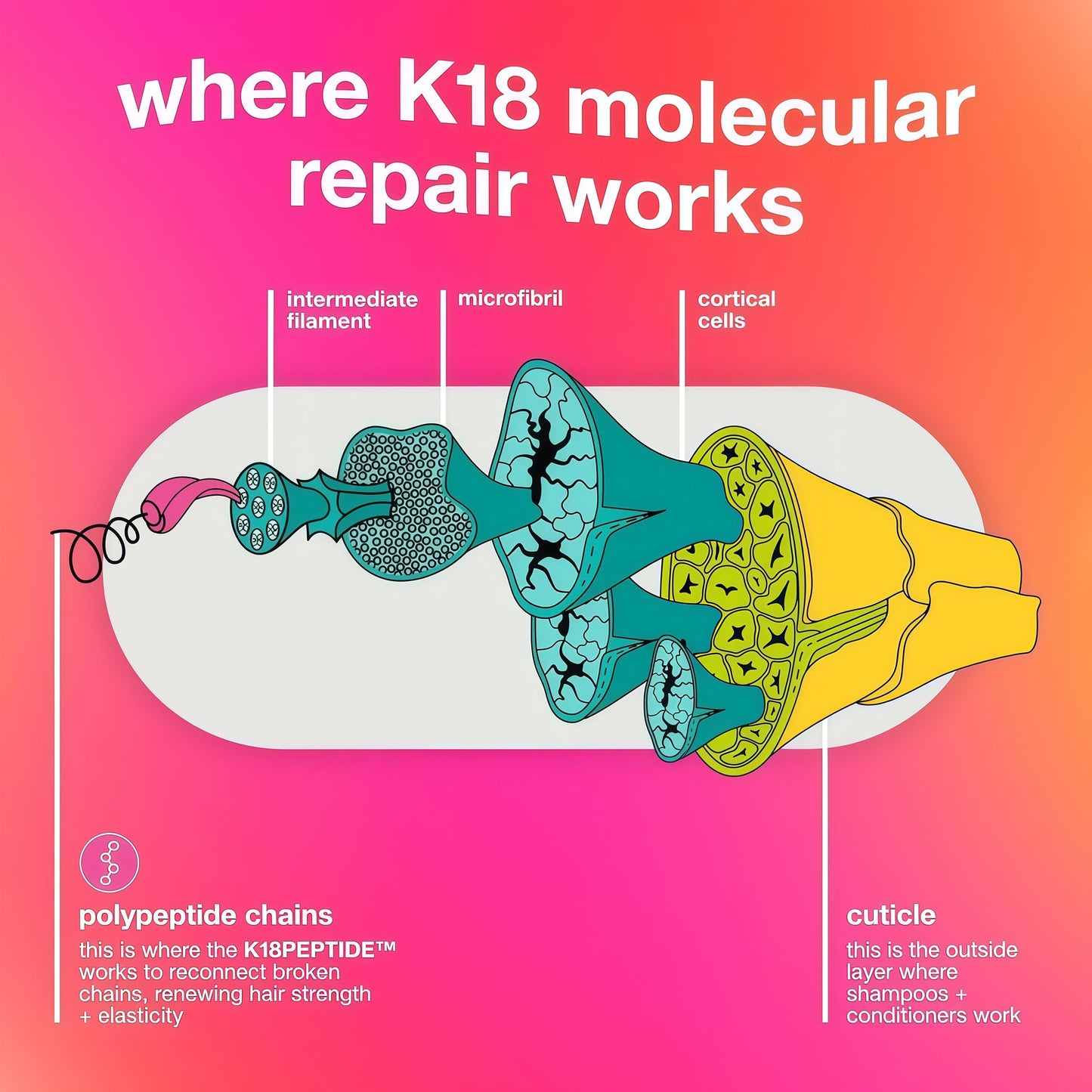 K18 Leave-In Molecular Repair Hair Mask, Patented, Lasting Repair For Dry, Frizzy, Damaged Hair, Reverse Damage In 4 Minutes From Bleach, Color, Chemical Services + Heat